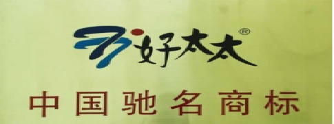 广东好太太集团